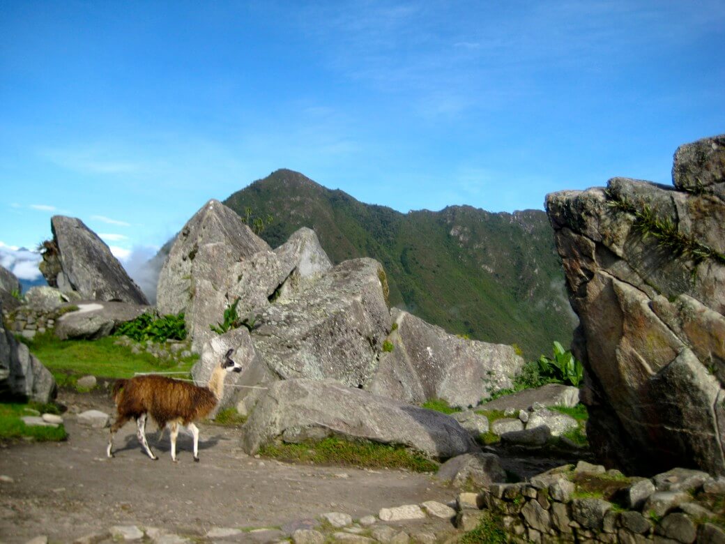 Peru AND Ecuador, 2009 201